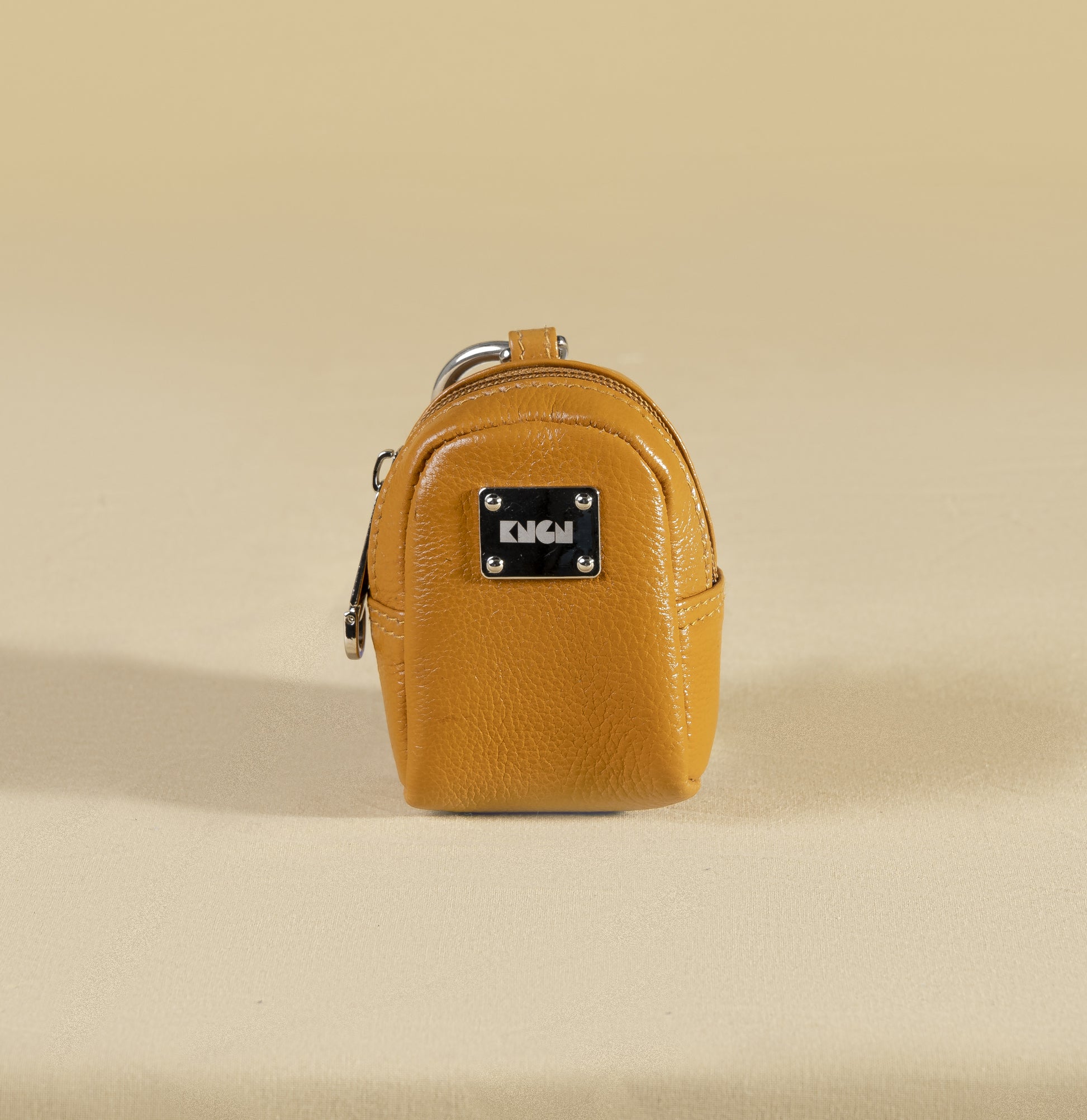 Mango Air pods Pouch + Carabiner