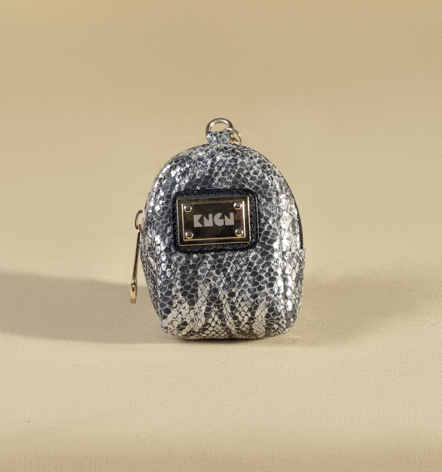Silver Ear pods Pouch + Carabiner